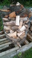 Brennholz Reste Nordrhein-Westfalen - Extertal Vorschau