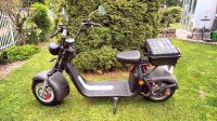 SCOGO E - Scooter Nordrhein-Westfalen - Lichtenau Vorschau