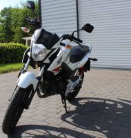 Honda CB 125 F (GLR) Weiß Nordrhein-Westfalen - Möhnesee Vorschau