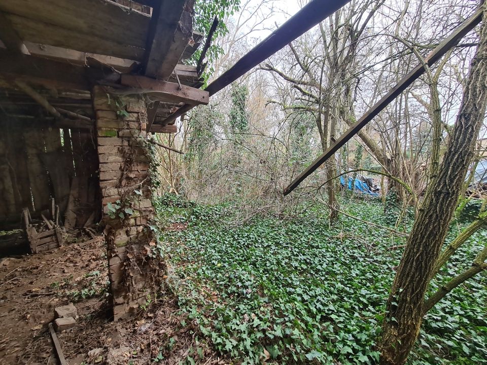 Bauplatz oder Scheunenausbau in Appenhofen in Billigheim-Ingenheim