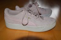 Puma Sneaker Rose Gr.38 Topzustand Saarland - Spiesen-Elversberg Vorschau