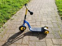 Puky Roller/Scooter Rheinland-Pfalz - Trier Vorschau