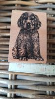 Holzstempel Cockerspaniel/Newstamps Schleswig-Holstein - Bad Bramstedt Vorschau