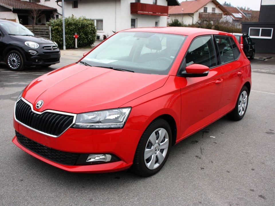 Skoda Fabia Active Plus LED-TL Nebel Klima in Bad Kötzting