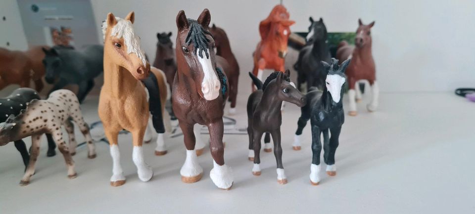 Schleich Repaints in Frankfurt (Oder)