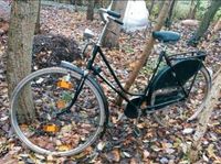 Altes Holland Fahrrad Niedersachsen - Weener Vorschau