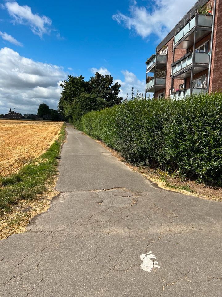 Gartenarbeit/ Gartenpflege/ Heckenschnitt in Baesweiler