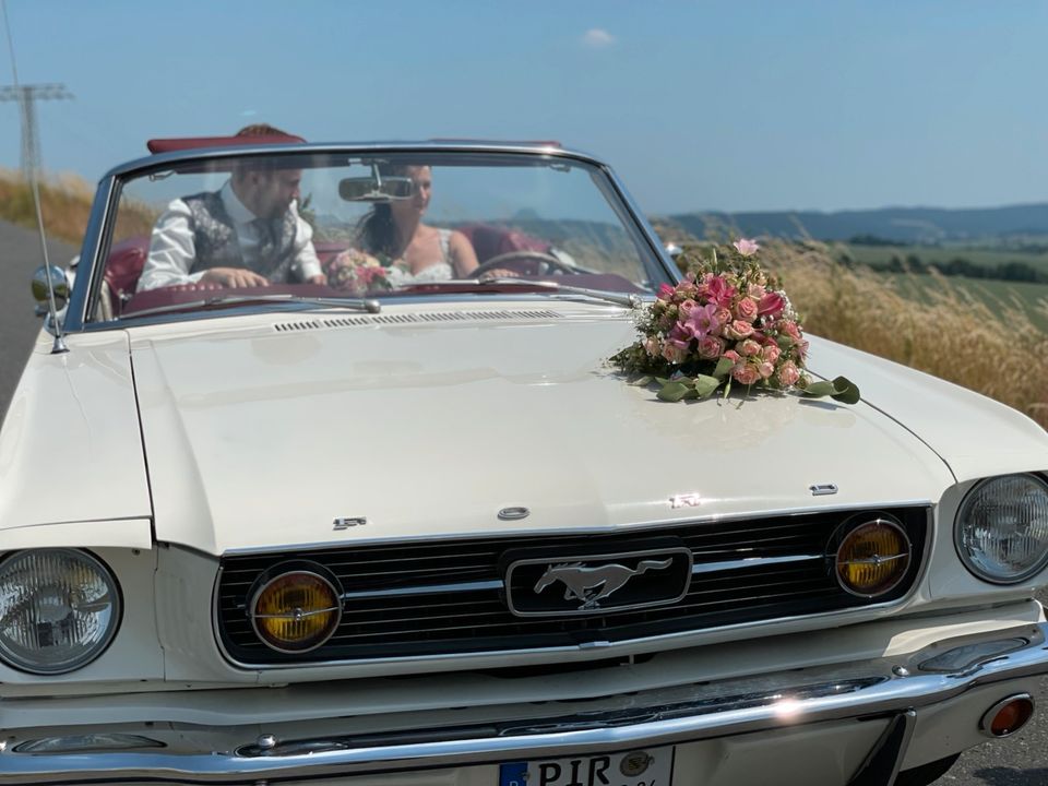 Ford Mustang Cabrio V8 Cabrio White mieten - Hochzeit, JGA in Pirna