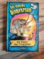 Das geheime Dinoversum Band 2 Hessen - Pfungstadt Vorschau