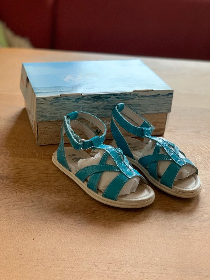 Compagnucci Primigi Oiliy Naturino Sandalen grün blau 26 LILI26 in Mörlenbach