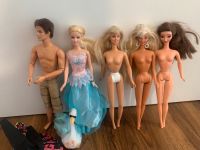 Barbie Set Mattel sammlung schwanenprinzessin Nordrhein-Westfalen - Detmold Vorschau