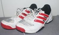 ADIDAS SAMPLE ansehen lesen RARE Hessen - Kriftel Vorschau