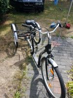 Dreirad für Erwachsene Niedersachsen - Hambühren Vorschau