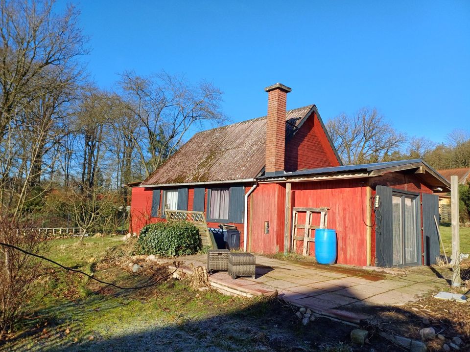 Einfamilienhaus mit Nebenhaus und großem Grundstück zwischen Hermannsburg und Unterlüß in Unterlüß