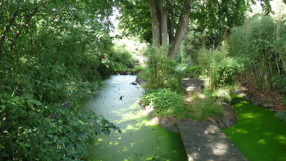 Außergewöhnliches Park Grundstück für großes EFH in Norderstedt in Hamburg