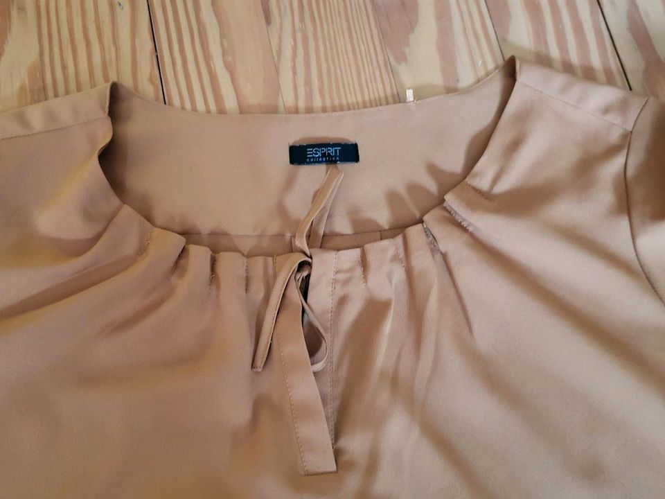 Esprit Collection Bluse, Gr..36 in Hamburg