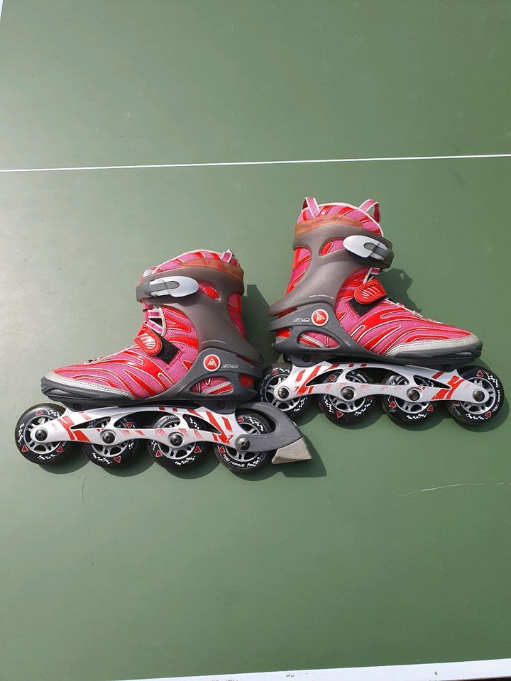 Inline skates K2 Damen in Ulm