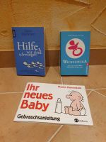 Witzige Bücher für werdende Eltern/Papas Niedersachsen - Söhlde Vorschau