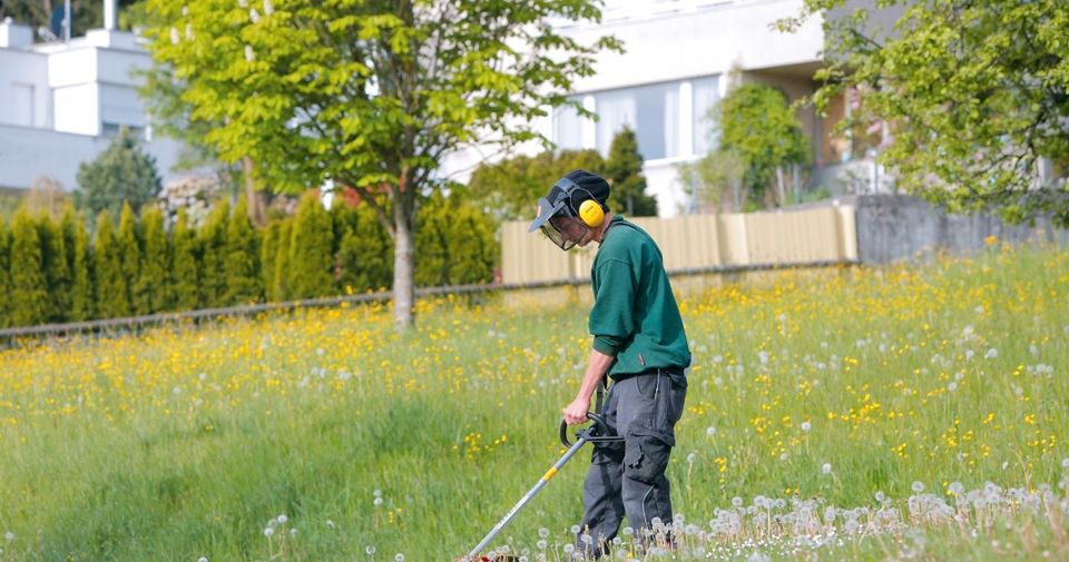 Vollzeitstelle für Aushilfsarbeiten in Garten- und Waldarbeiten in Blankenrath