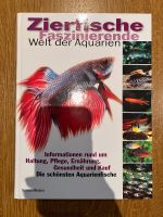 Zierfische faszinierende Welt der Aquarien Rheinland-Pfalz - Römerberg Vorschau