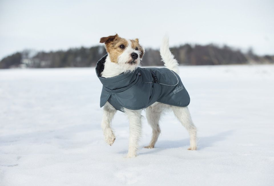 Hundemantel RukkaPets Stormy Coat Wintermantel in camu und olive in Lindau