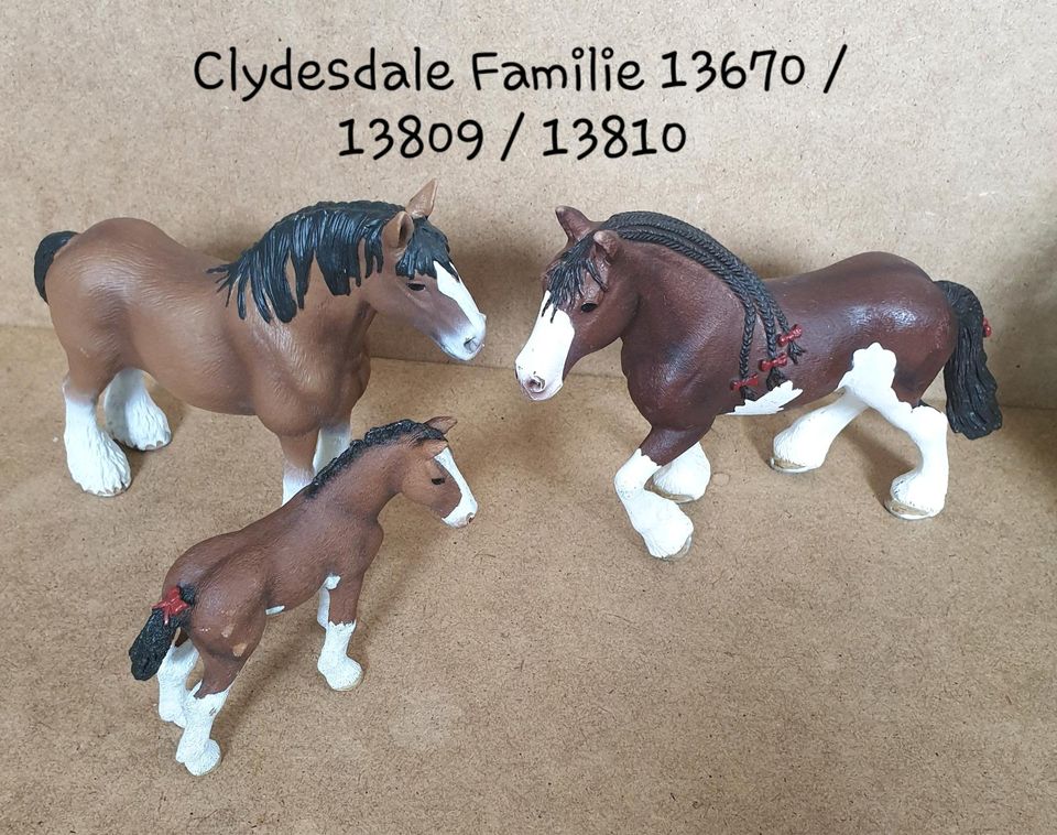 Schleich Clydesdale Familien in Eggesin