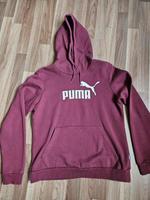 Damen Puma Hoodi Bayern - Bad Bocklet Vorschau