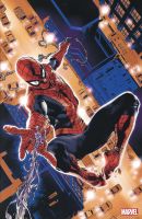 AUF 222 EXEMPLARE LIMITIERTES VARIANT COVER SPIDER-MAN 50 neuware Herzogtum Lauenburg - Geesthacht Vorschau