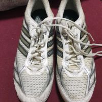 ADIDAS SNEAKERS gr 48  neuwertig Schnürer Nordrhein-Westfalen - Bergheim Vorschau