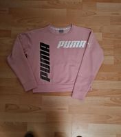 Sportshirt Sweatshirt Pulli Puma 164 Kr. München - Aschheim Vorschau