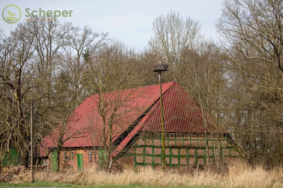 Reiterhof in Reitmoor in Loxstedt