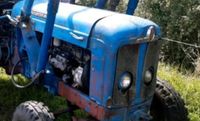 Traktor Trecker Schlepper Oldtimer - diverse - Aufkäufer gesucht Berlin - Treptow Vorschau