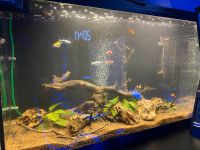 Ich verkaufe 120L Aquarium Baden-Württemberg - Ravensburg Vorschau