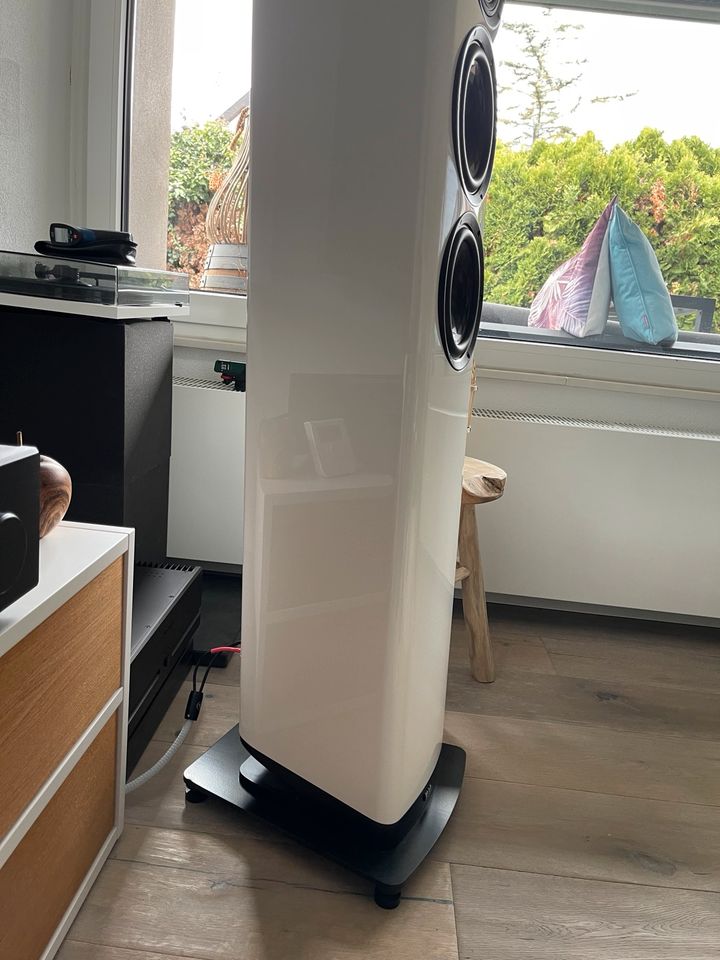 Elac Vela FS 409 in Asperg