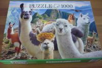 Puzzle 1000 Teile / Unterhaltung / Preis 3,50 Euro Nordrhein-Westfalen - Lohmar Vorschau