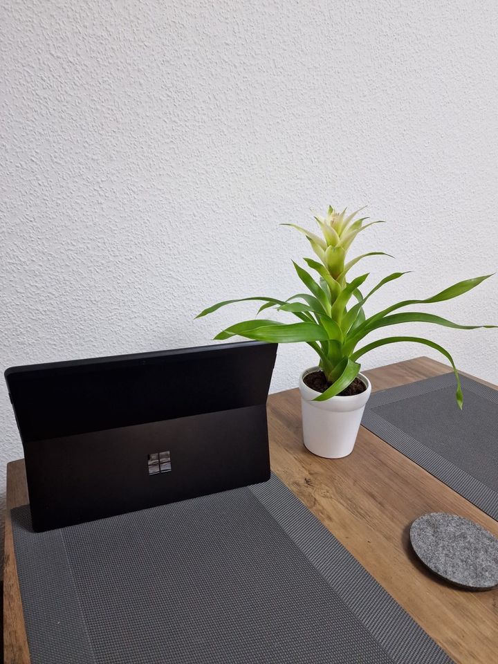 Microsoft Surface Pro X in Nürnberg (Mittelfr)