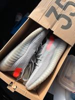 Yeezy Boost 350 V2 Berlin - Charlottenburg Vorschau