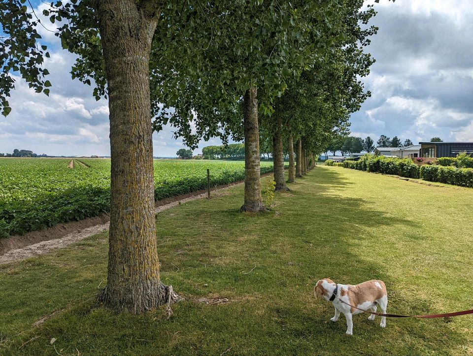 Last Minute Juni, Juli! Chalet für Zwei in Zeeland, Niederlande. in Lampertheim