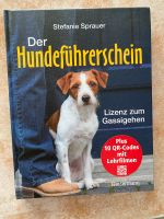Der Hundeführerschein Niedersachsen - Bad Bevensen Vorschau