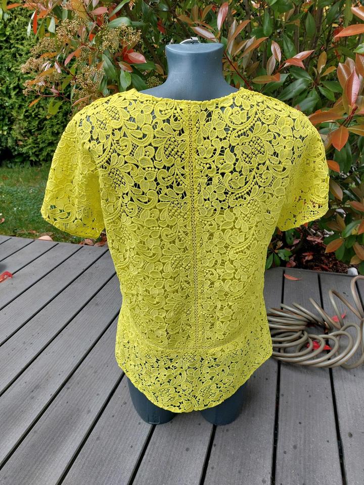 MARC CAIN Tolles Set, gelbe Spitzenbluse & Top, N4*40, MUST HAVE in Erkrath