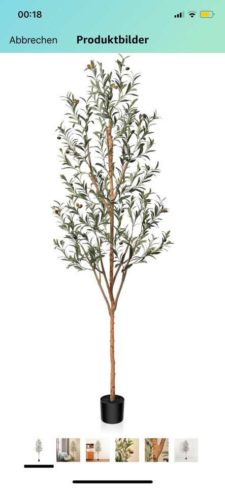 Olivenbaum Künstlich 2,10cm hoch in Moers