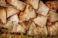 Brennholz zu verkaufen! Bayern - Oberviechtach Vorschau