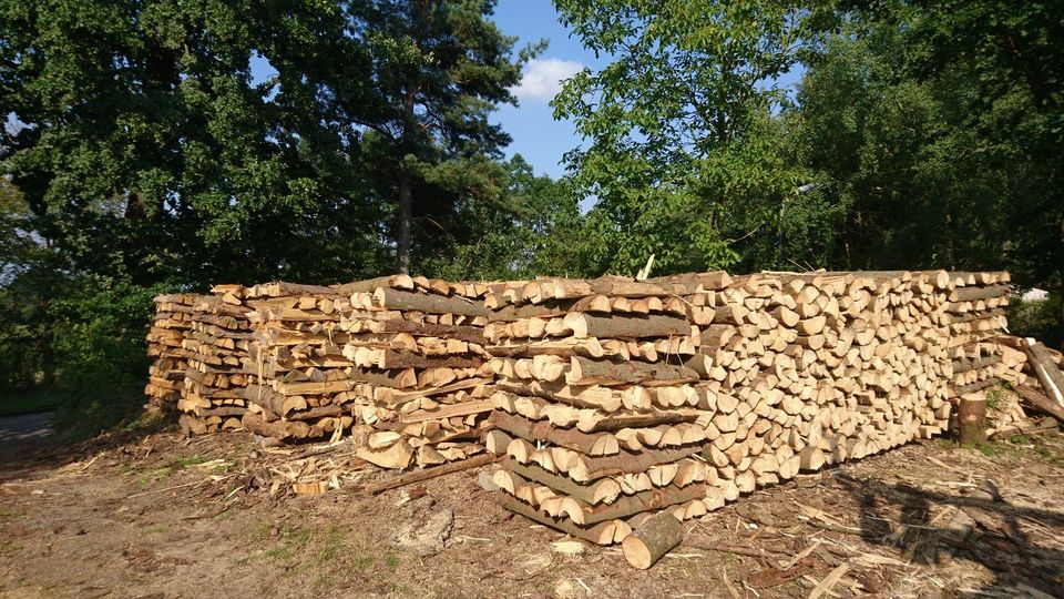 Brennholz Nadelholz Fichtenholz Kiefenholz Feuerholz Heimatholz I in München