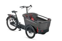 BATAVUS Bosch CX 545Wh FIER-​3 Lastenfahrrad EXTREM STARK 85Nm statt5499 Nordrhein-Westfalen - Gelsenkirchen Vorschau