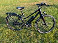 BERGAMONT E-Line C MG 500 Trapez 28 Zoll,Alu, NuVincy E-Bike 52cm Schleswig-Holstein - Stein (Probstei) Vorschau