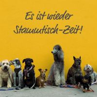 Hundeberatung, Hundetrainer, Hunderunde, Hundetreff, Hundeschule Niedersachsen - Stade Vorschau
