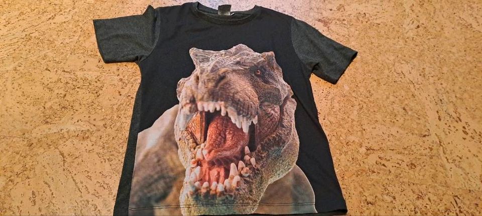 Neu,C&A T-Shirt,kurzarm Shirt,Zwillinge,Dino,Dinos,Auto,Tiere in Friesoythe