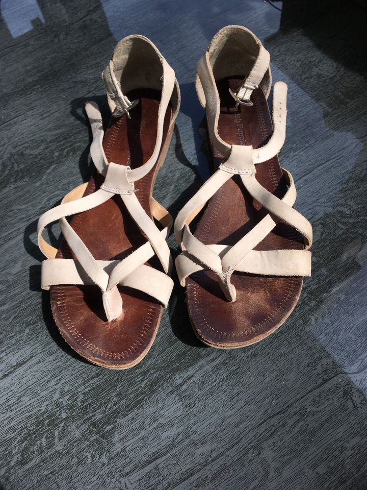 Sandalen von Hush Puppies Größe 38 in Potsdam