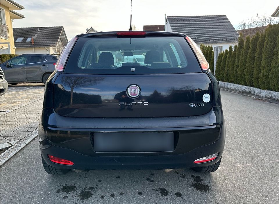 Fiat Punto in Hohentengen