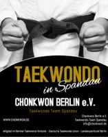 Taekwondo Training für Anfänger - kostenloser Schnupperkurs Berlin - Spandau Vorschau